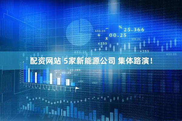 配资网站 5家新能源公司 集体路演！